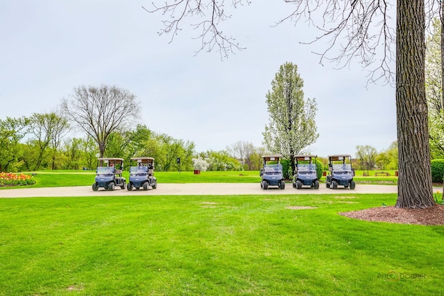 4726 Westbury Dr, Long Grove, IL 60047 - view of property's community featuring a yard