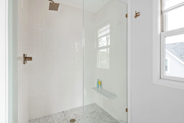 full bathroom with a stall shower
