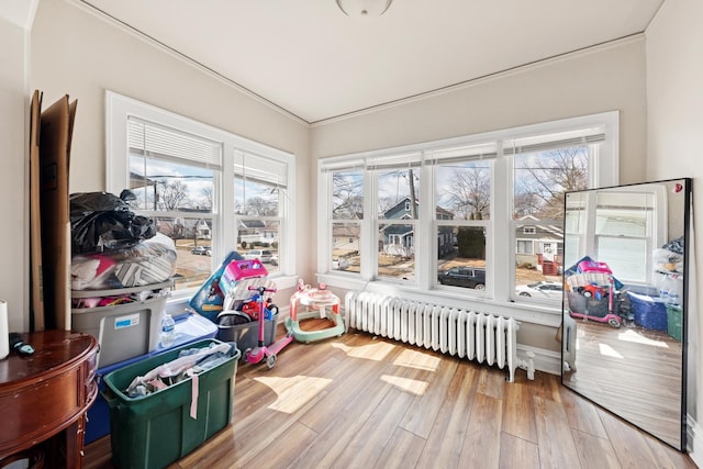 123 Philippa Ave, Waukegan, IL 60085 - bedroom featuring radiator heating unit and wood finished floors