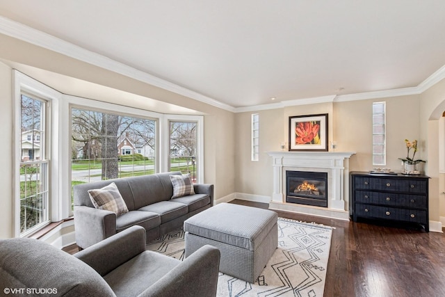 living room featuring ornamental molding, baseboards, a glass covered fireplace, and wood finished floors