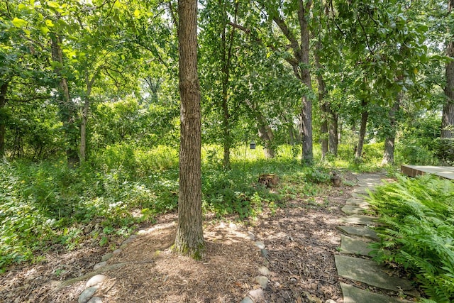 8673 Timber Ridge Dr, Burr Ridge, IL 60527 - view of local wilderness