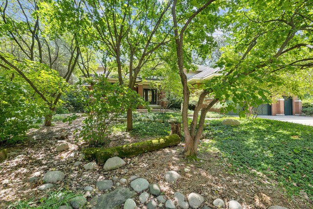 8673 Timber Ridge Dr, Burr Ridge, IL 60527 - view of front of home
