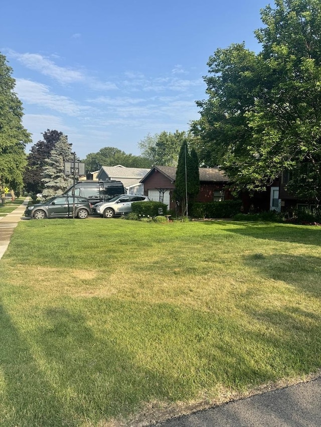 view of green lawn