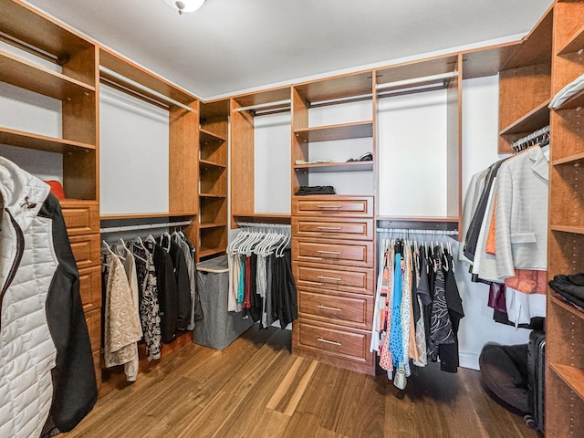 walk in closet with dark wood-style floors