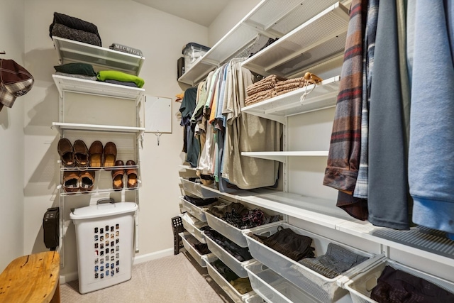 spacious closet with carpet