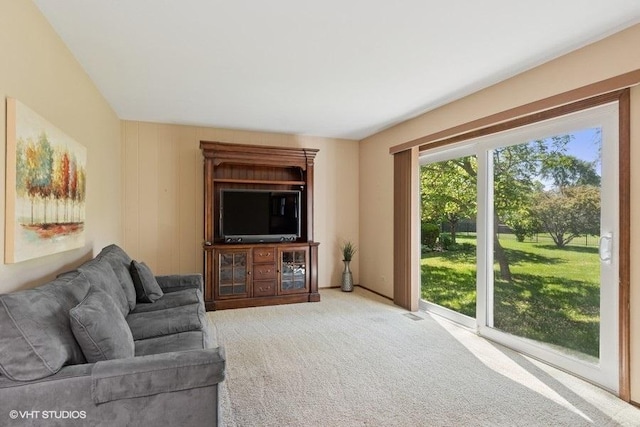 21 39th St, Downers Grove, IL 60515 - view of carpeted living area