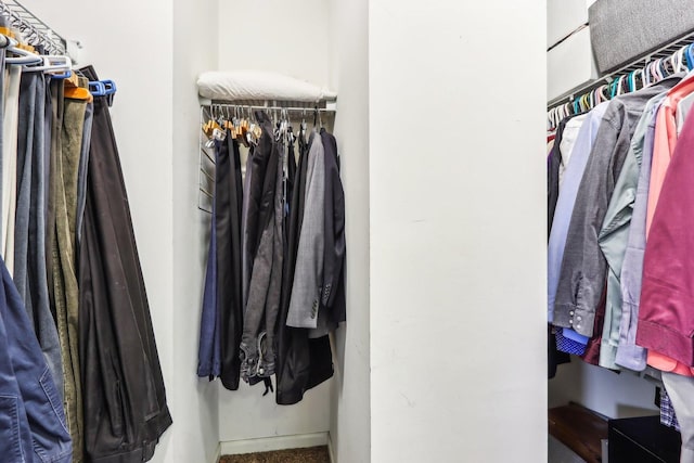 view of walk in closet