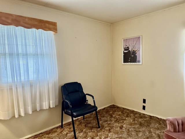 living area featuring baseboards and carpet
