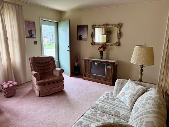 living room featuring carpet floors