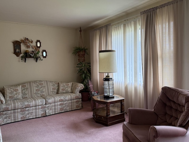 view of carpeted living room
