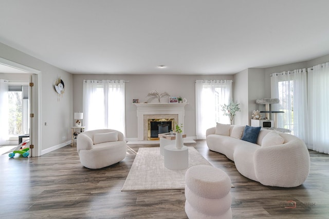 living area with baseboards, a glass covered fireplace, dark wood finished floors, and plenty of natural light