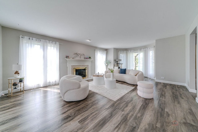 living room featuring wood finished floors, a high end fireplace, and baseboards