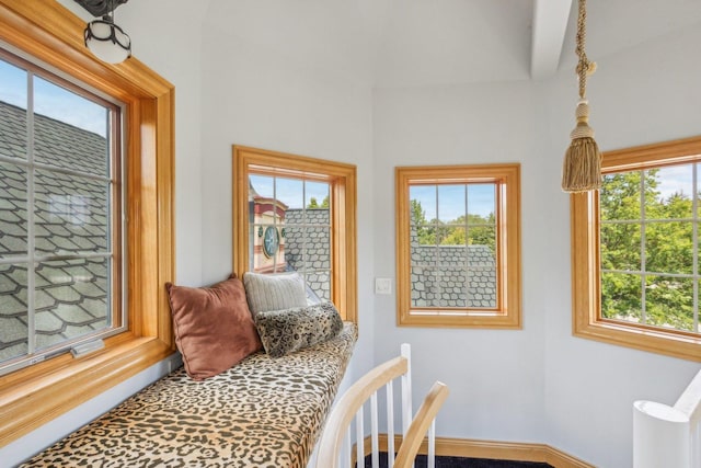 bedroom with access to exterior, baseboards, and multiple windows