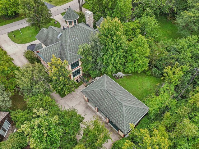 bird's eye view