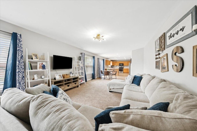living room featuring light colored carpet