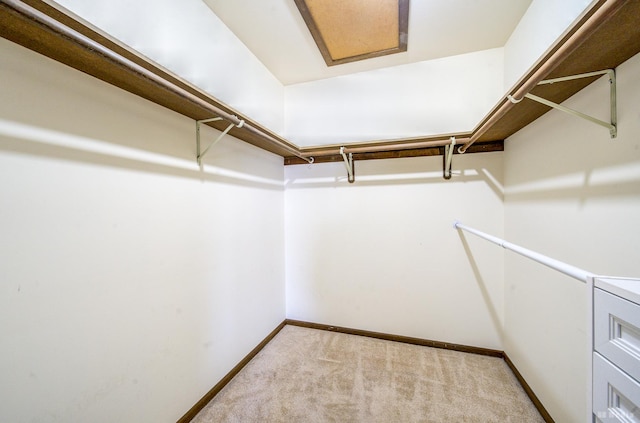 walk in closet featuring carpet flooring