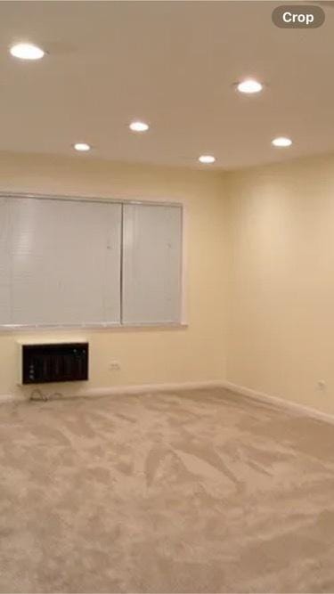960 Shermer Rd Unit 2, Glenview, IL 60025 - carpeted empty room with recessed lighting, baseboards, and a fireplace