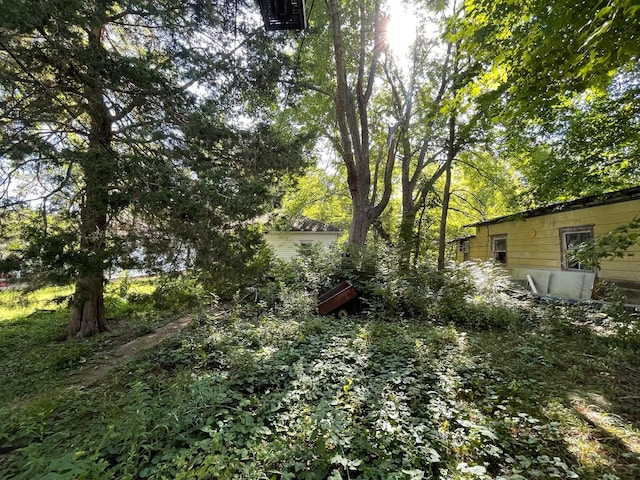 608 S Elm St, Villa Grove, IL 61956 - view of yard