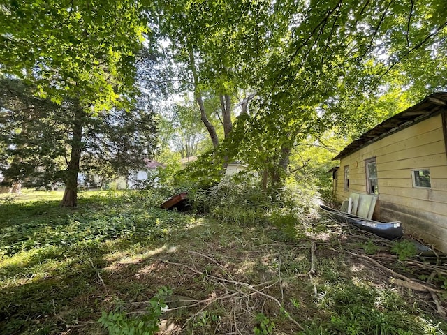 608 S Elm St, Villa Grove, IL 61956 - view of yard