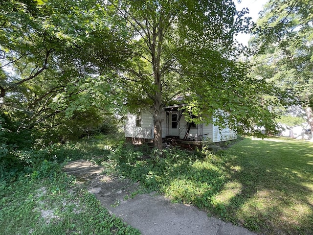 608 S Elm St, Villa Grove, IL 61956 - view of yard