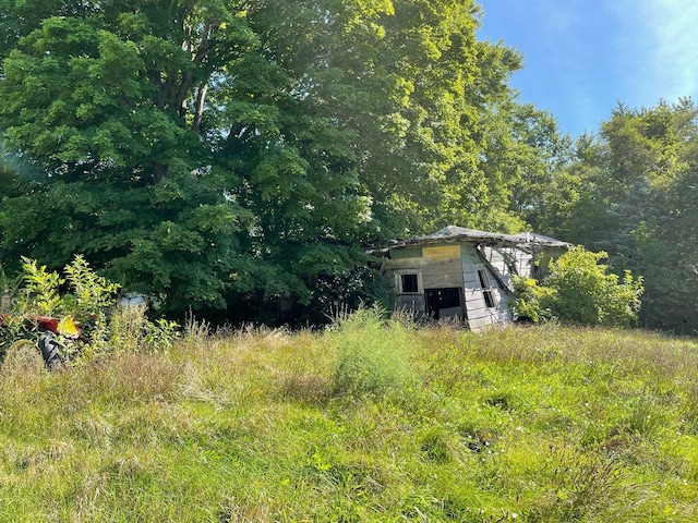 608 S Elm St, Villa Grove, IL 61956 - view of yard with an outbuilding and a forest view