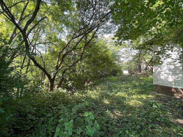 608 S Elm St, Villa Grove, IL 61956 - view of landscape with a wooded view