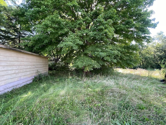 608 S Elm St, Villa Grove, IL 61956 - view of yard