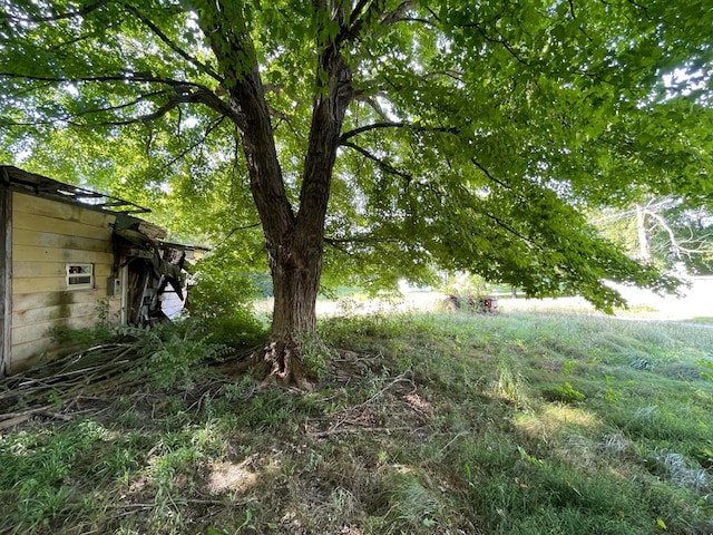 608 S Elm St, Villa Grove, IL 61956 - view of yard