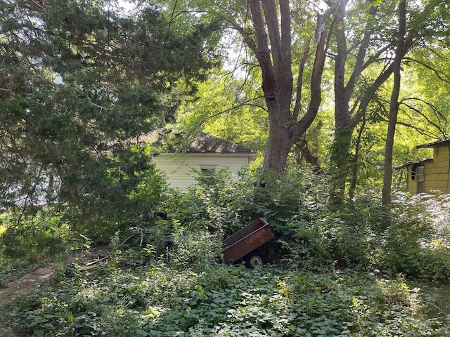 608 S Elm St, Villa Grove, IL 61956 - view of yard