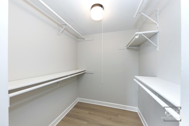 1221 Chalet Rd Unit 28-201, Naperville, IL 60563 - spacious closet with light wood-style flooring