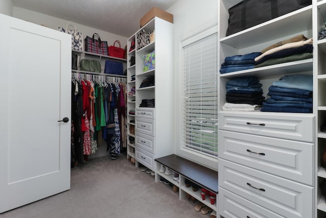 3605 Como Ct, Normal, IL 61761 - spacious closet with carpet flooring