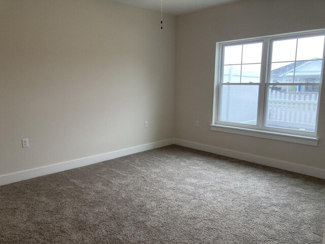 303 Celebration Ave Unit A, Bourbonnais, IL 60914 - photo 20