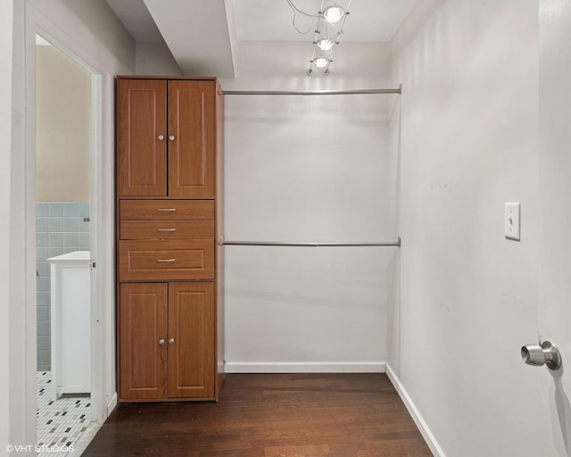1150 N Lake Shore Dr Unit 20J, Chicago, IL 60611 - walk in closet with dark wood finished floors