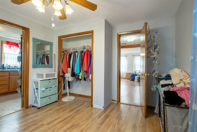 bedroom featuring light wood-style floors, a closet, and multiple windows