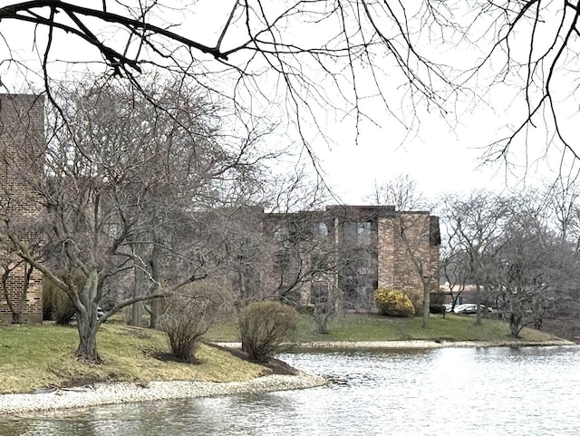 2050 Valencia Dr Unit 405, Northbrook, IL 60062 - water view