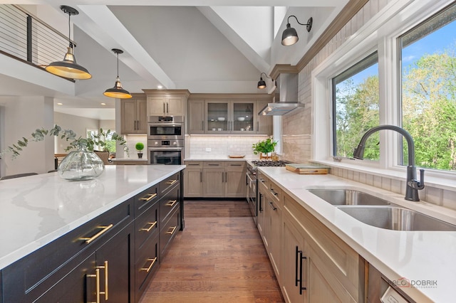 6517 Saddle Ridge Ct, Long Grove, IL 60047 - kitchen featuring a sink, appliances with stainless steel finishes, wall chimney range hood, pendant lighting, and glass insert cabinets