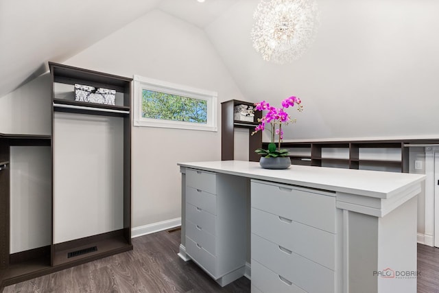 6517 Saddle Ridge Ct, Long Grove, IL 60047 - spacious closet featuring lofted ceiling, dark wood-style floors, and a chandelier