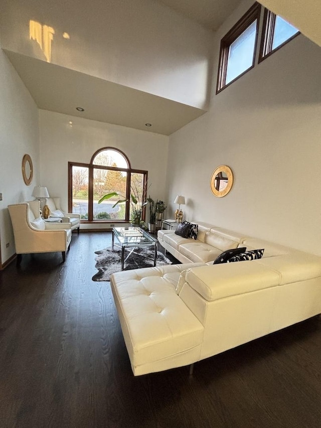 2 Rutgers Ct, Hawthorn Woods, IL 60047 - living room featuring dark wood-type flooring, a high ceiling, and healthy amount of natural light
