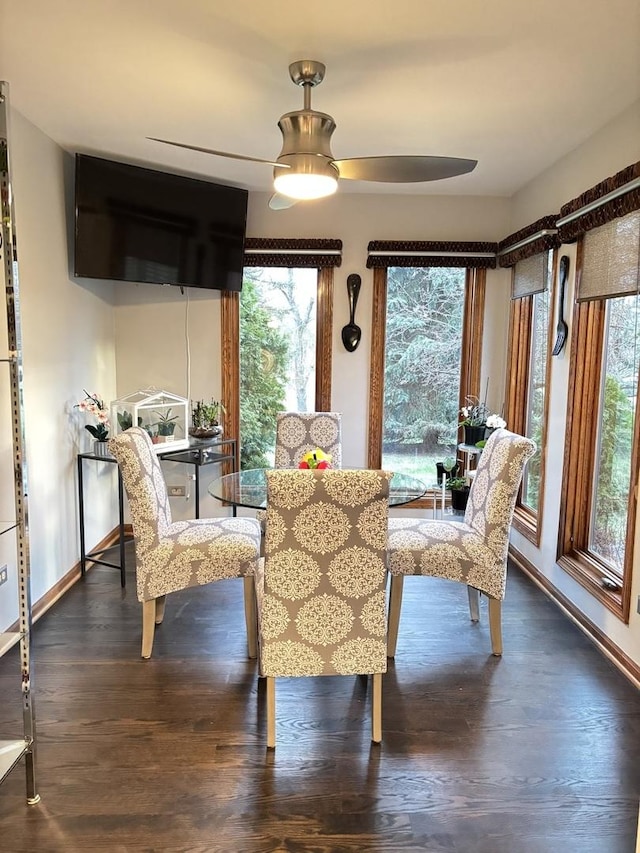 2 Rutgers Ct, Hawthorn Woods, IL 60047 - dining room with plenty of natural light, a ceiling fan, baseboards, and dark wood finished floors