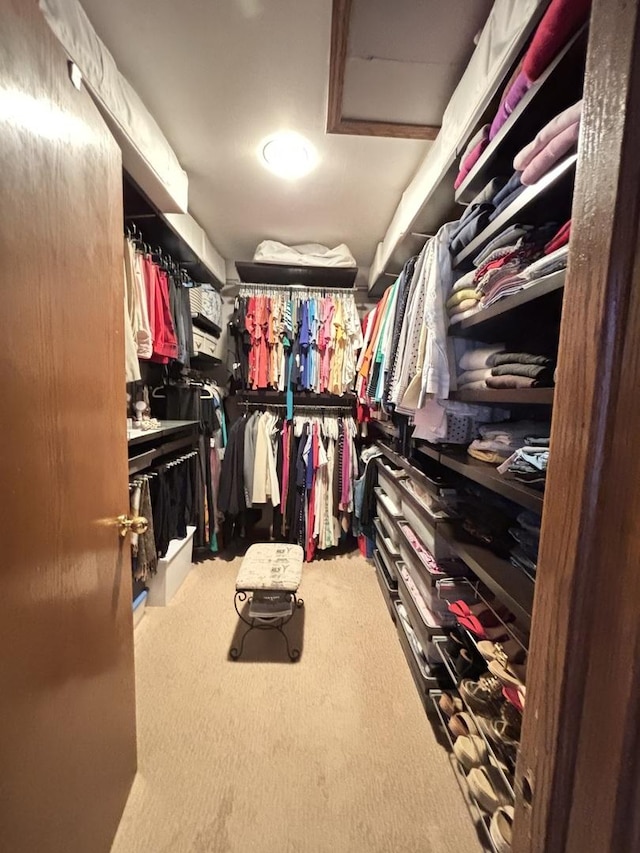2 Rutgers Ct, Hawthorn Woods, IL 60047 - spacious closet featuring carpet flooring and attic access