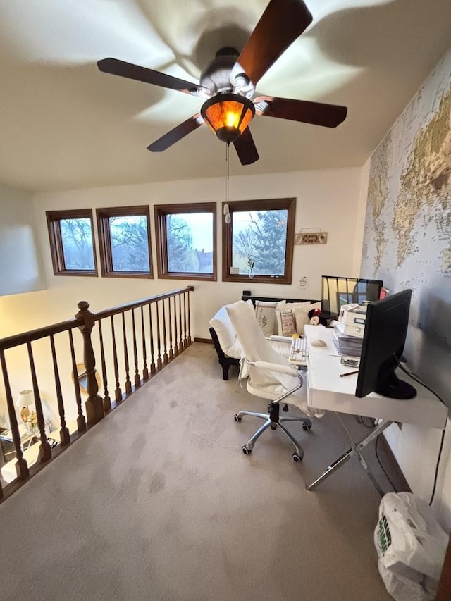 2 Rutgers Ct, Hawthorn Woods, IL 60047 - carpeted office with ceiling fan