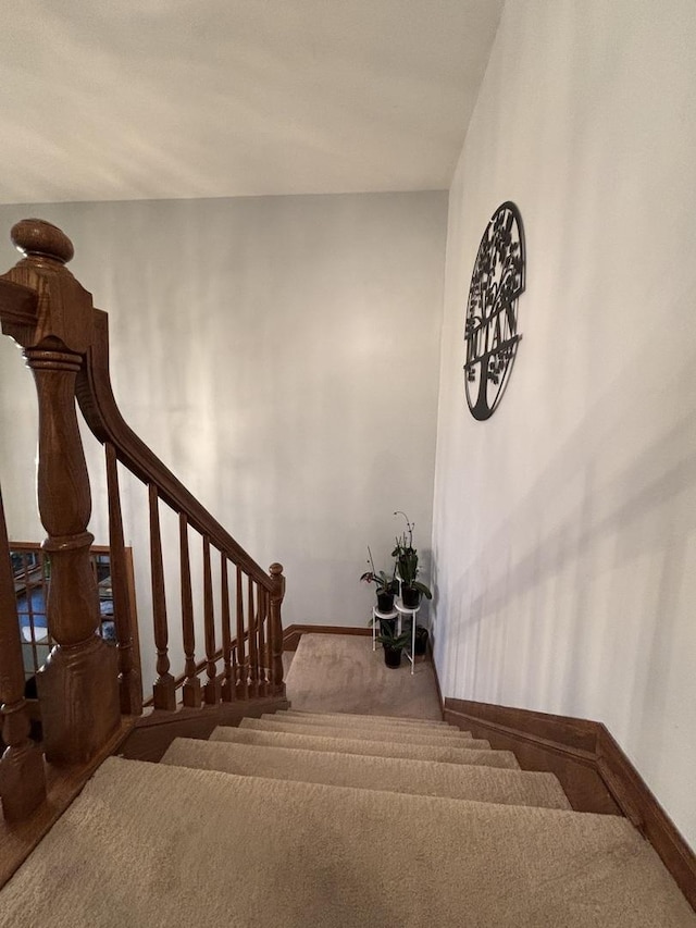 2 Rutgers Ct, Hawthorn Woods, IL 60047 - stairway with baseboards and carpet floors