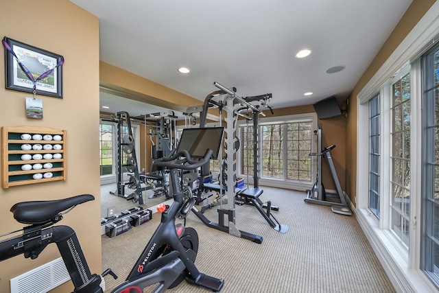1303 Bonnema Ave, Naperville, IL 60565 - workout room featuring baseboards, recessed lighting, and carpet floors