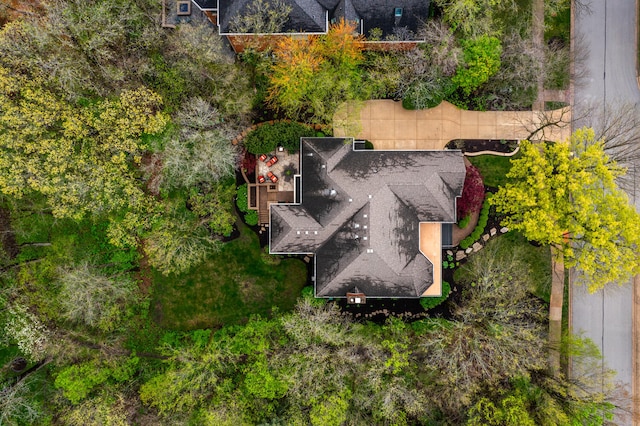 1303 Bonnema Ave, Naperville, IL 60565 - bird's eye view