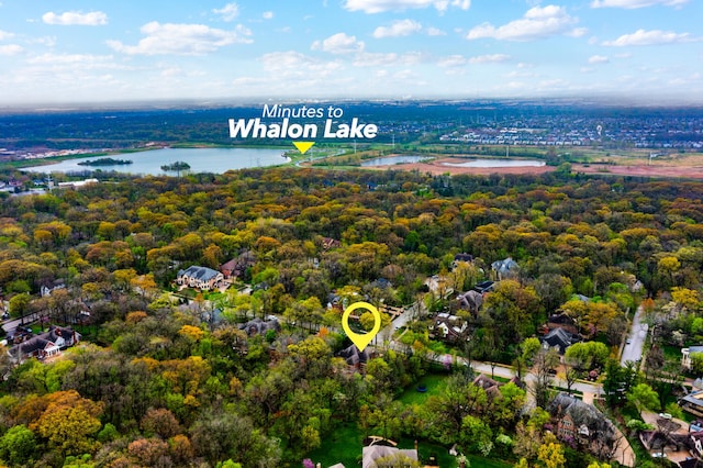 1303 Bonnema Ave, Naperville, IL 60565 - birds eye view of property featuring a water view and a view of trees