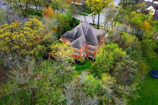 1303 Bonnema Ave, Naperville, IL 60565 - bird's eye view