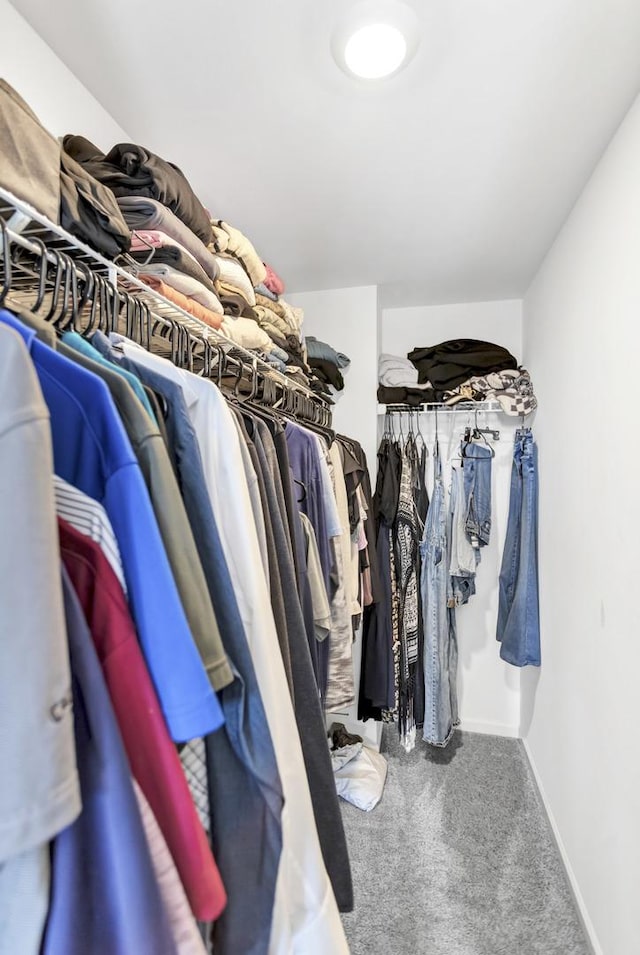 spacious closet with carpet flooring