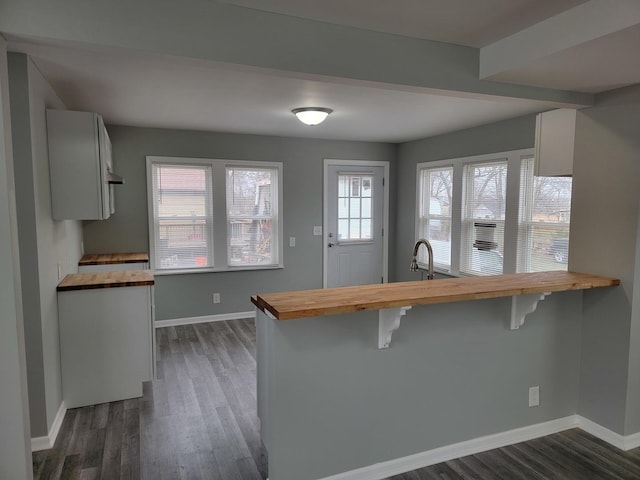 kitchen with dark wood finished floors, baseboards, a breakfast bar area, and wooden counters