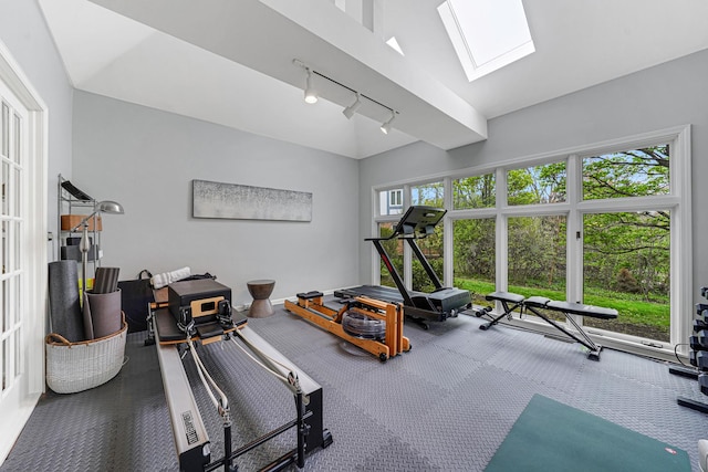 workout area featuring carpet floors, rail lighting, baseboards, and vaulted ceiling with skylight