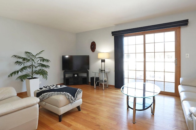 living room with light wood-style flooring